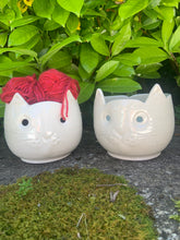 Load image into Gallery viewer, Bol à laine chat